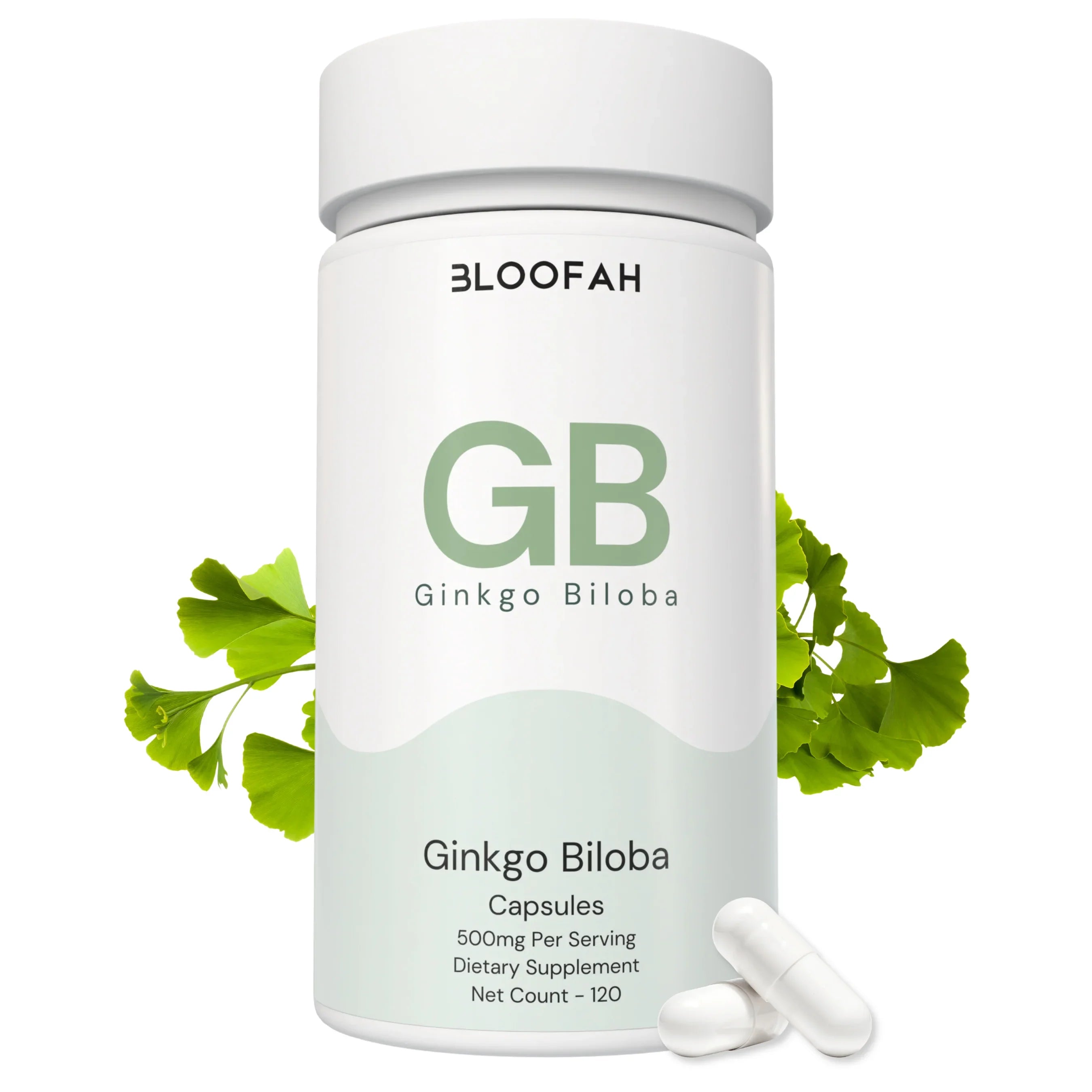 Bloofah GB Ginkgo Biloba Capsules 500mg | Ginkgo biloba Leaf Extract | 120 Capsules