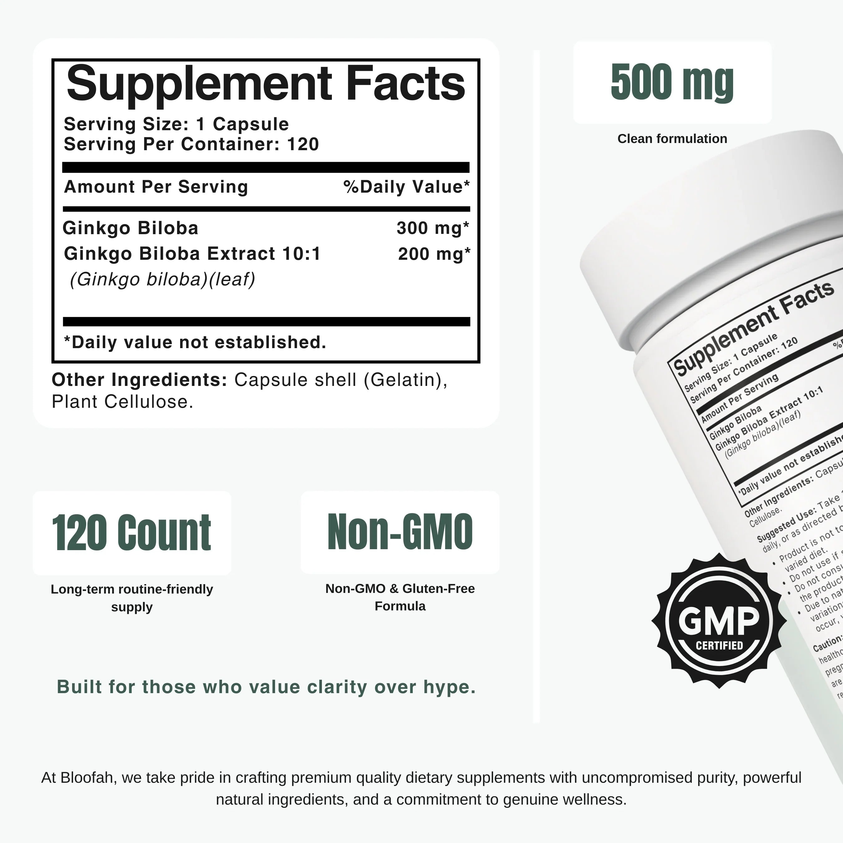Bloofah GB Ginkgo Biloba Capsules 500mg | Ginkgo biloba Leaf Extract | 120 Capsules