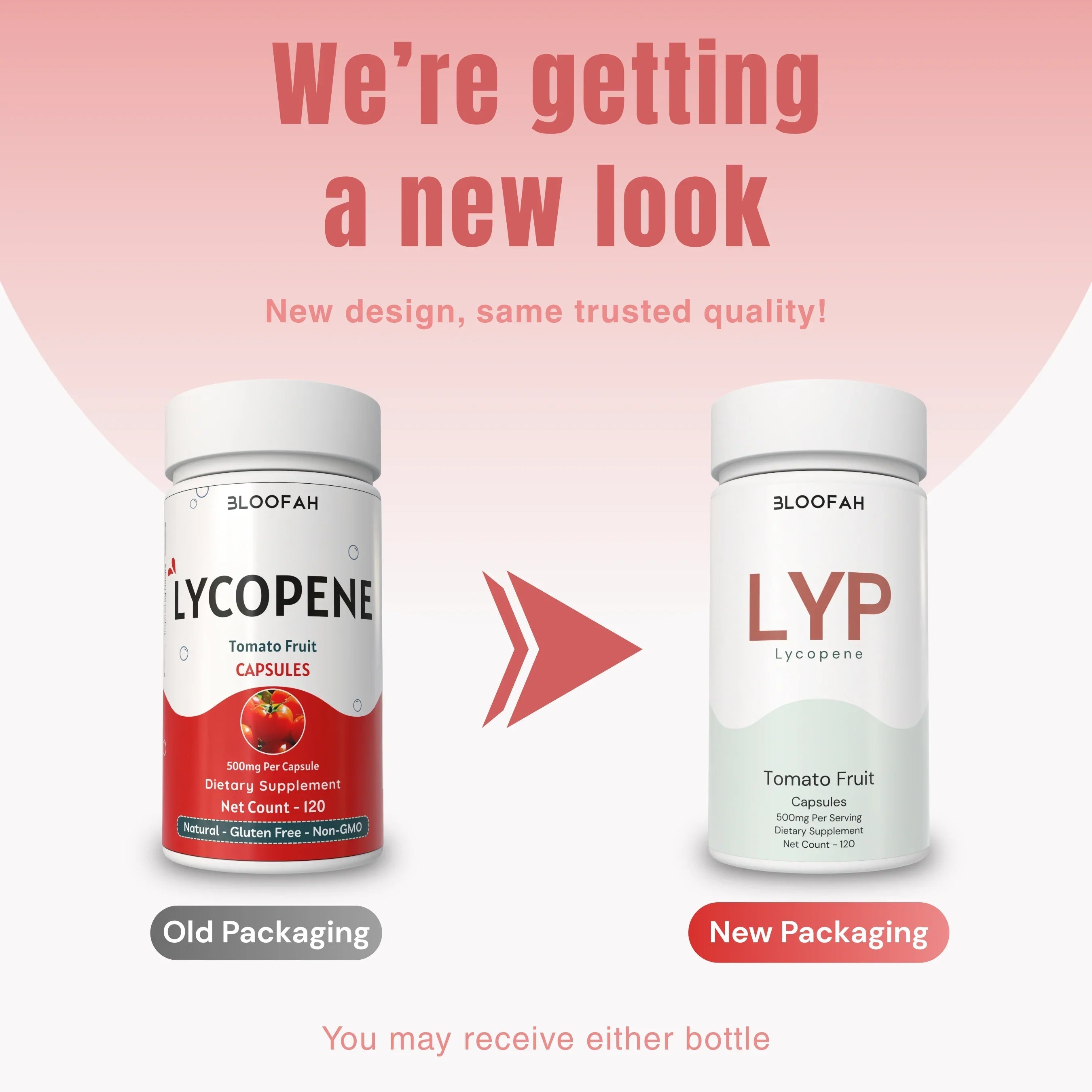 Bloofah LYP Lycopene Tomato Fruit Capsules 500mg | Natural Source of Lycopene