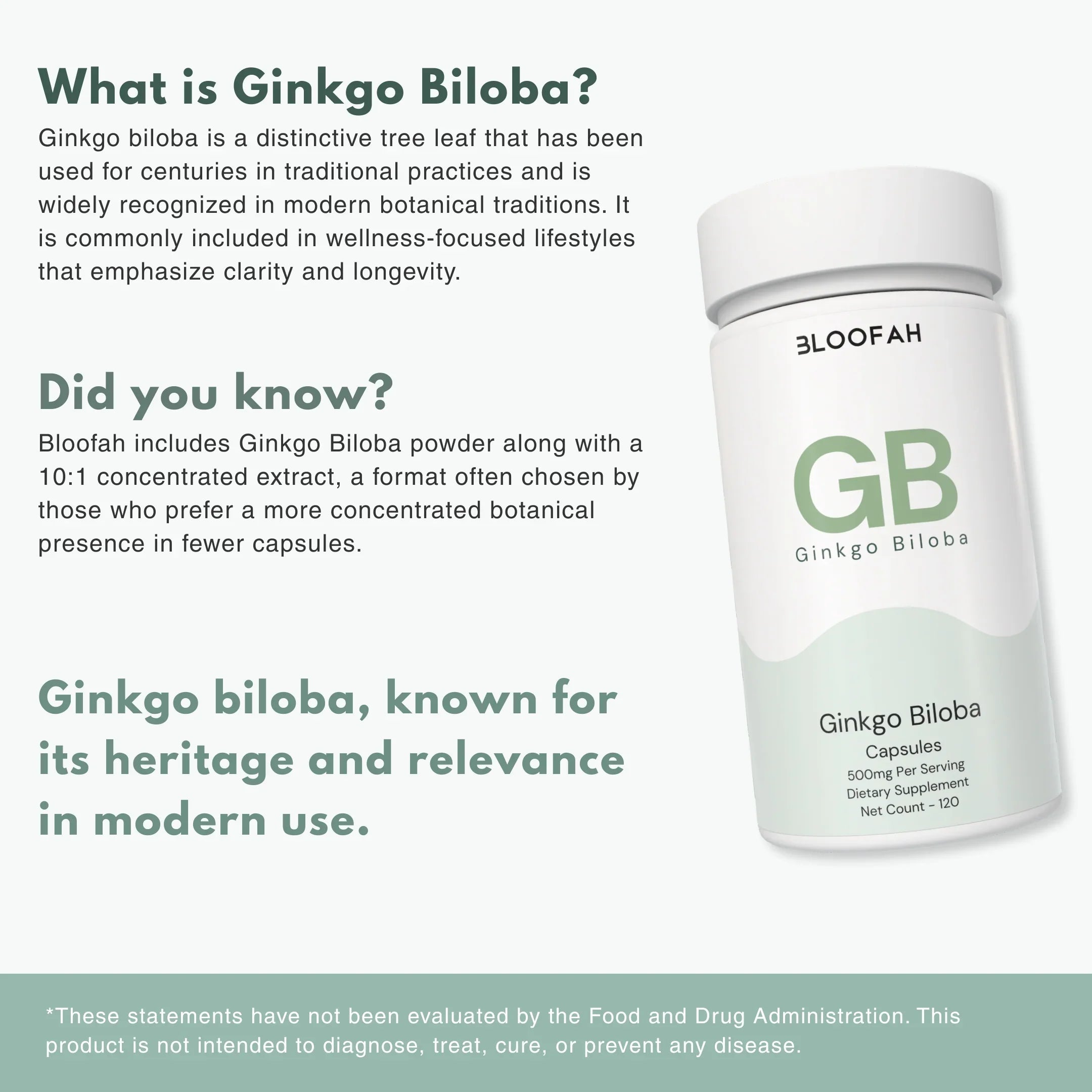 Bloofah GB Ginkgo Biloba Capsules 500mg | Ginkgo biloba Leaf Extract | 120 Capsules