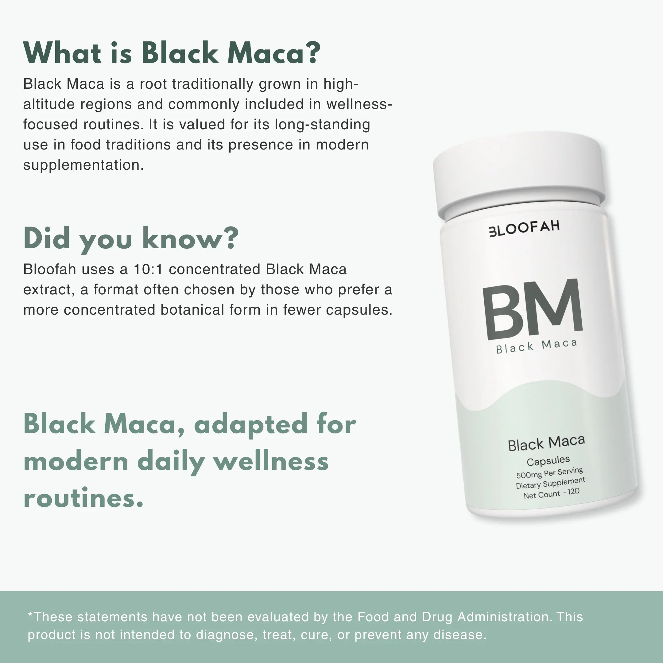 Bloofah BM Black Maca Capsules 500mg | Lepidium meyenii Root Extract | 120 Capsules