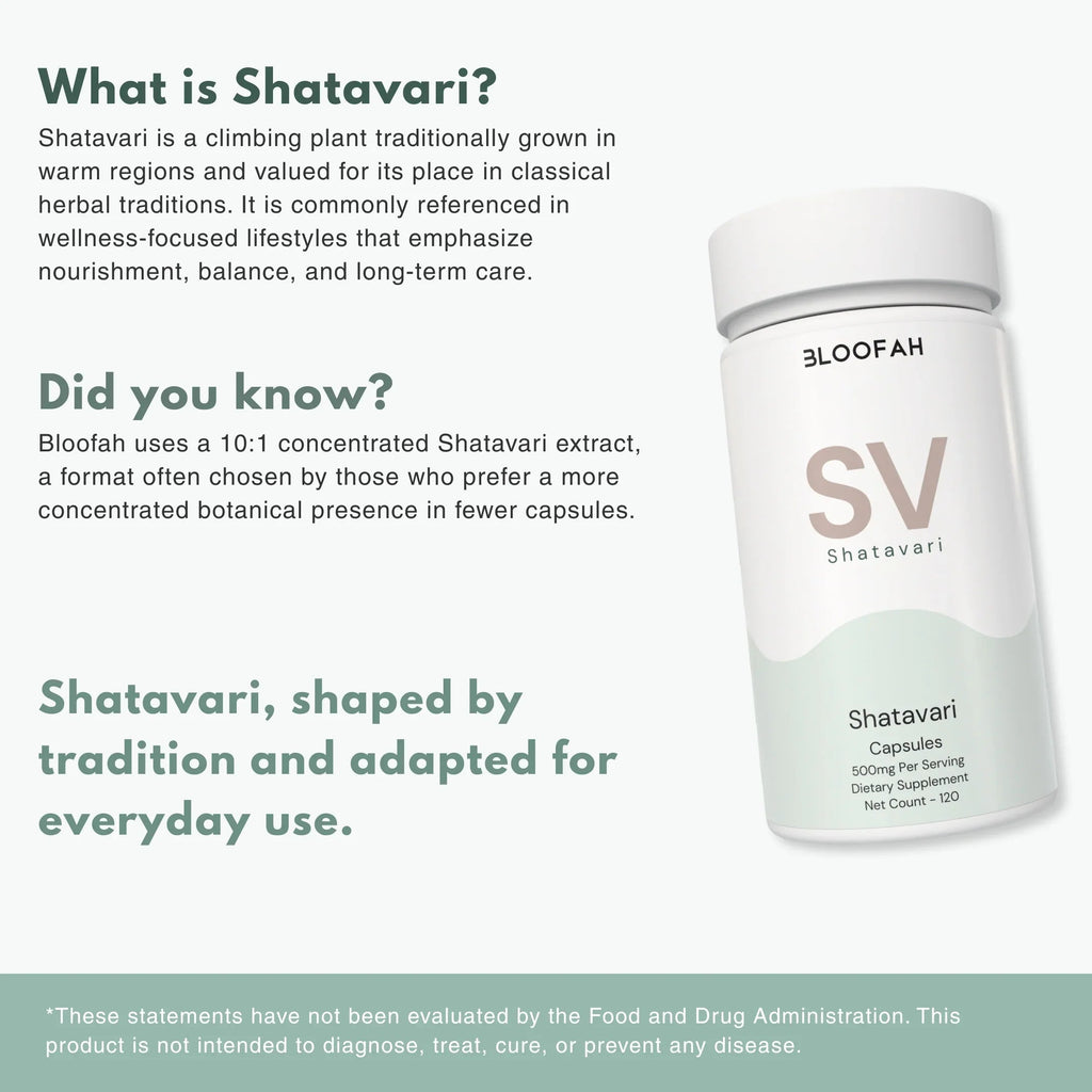Bloofah SV Shatavari Capsules 500mg | Asparagus racemosus Root Extract | 120 Capsules