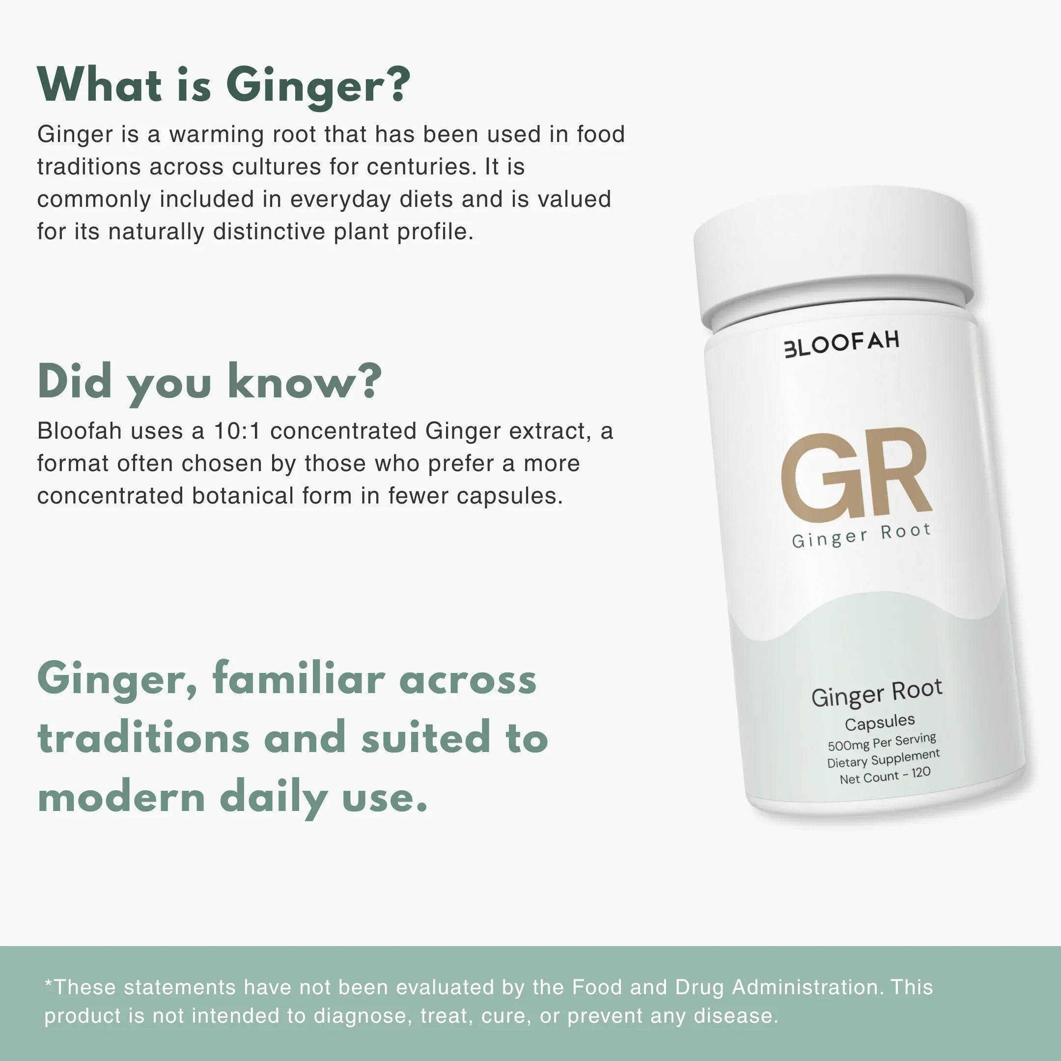 Bloofah GR Ginger Root Capsules 500mg | Zingiber officinale Extract | 120 Capsules