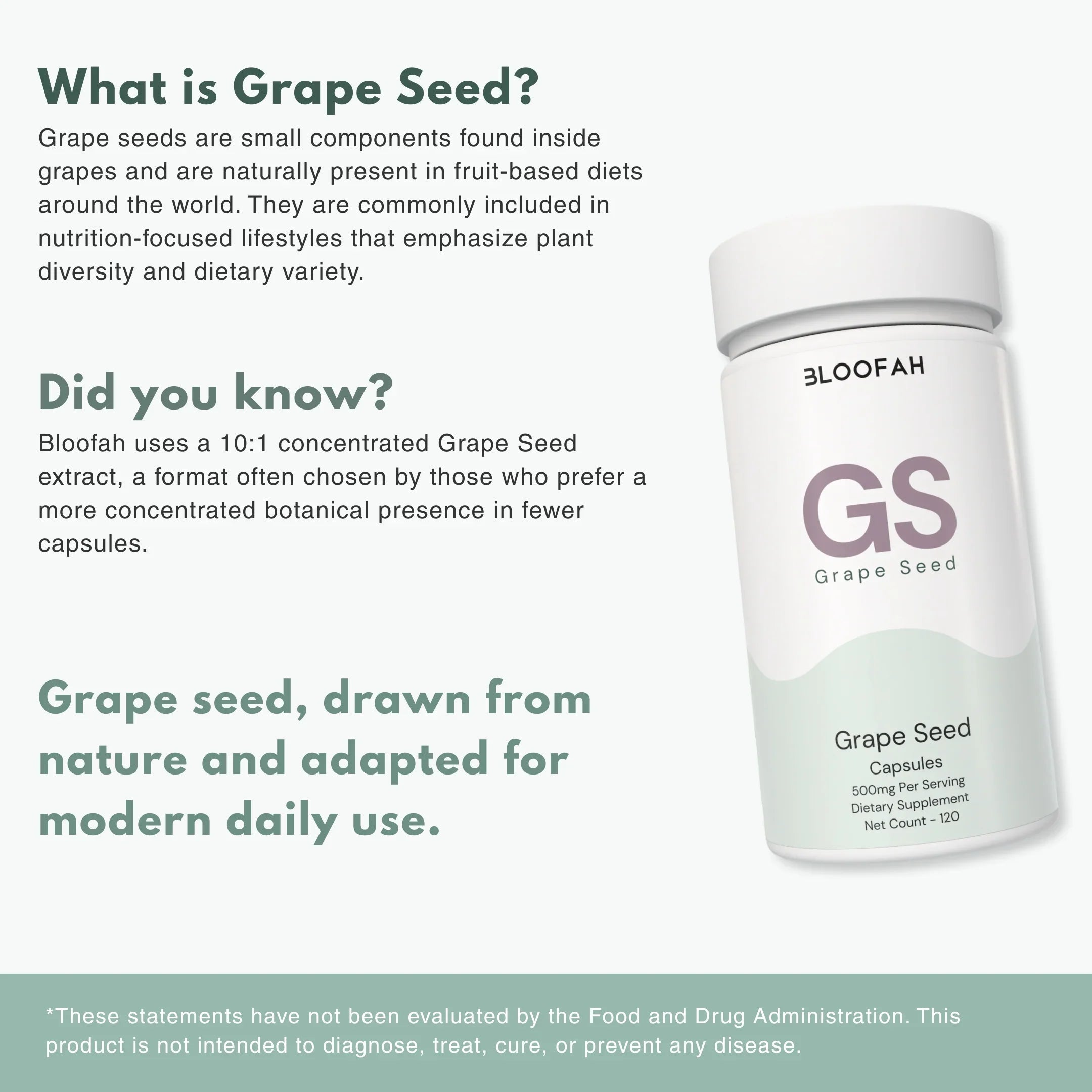 Bloofah GS Grape Seed Capsules 500mg | Vitis vinifera Extract | 120 Capsules
