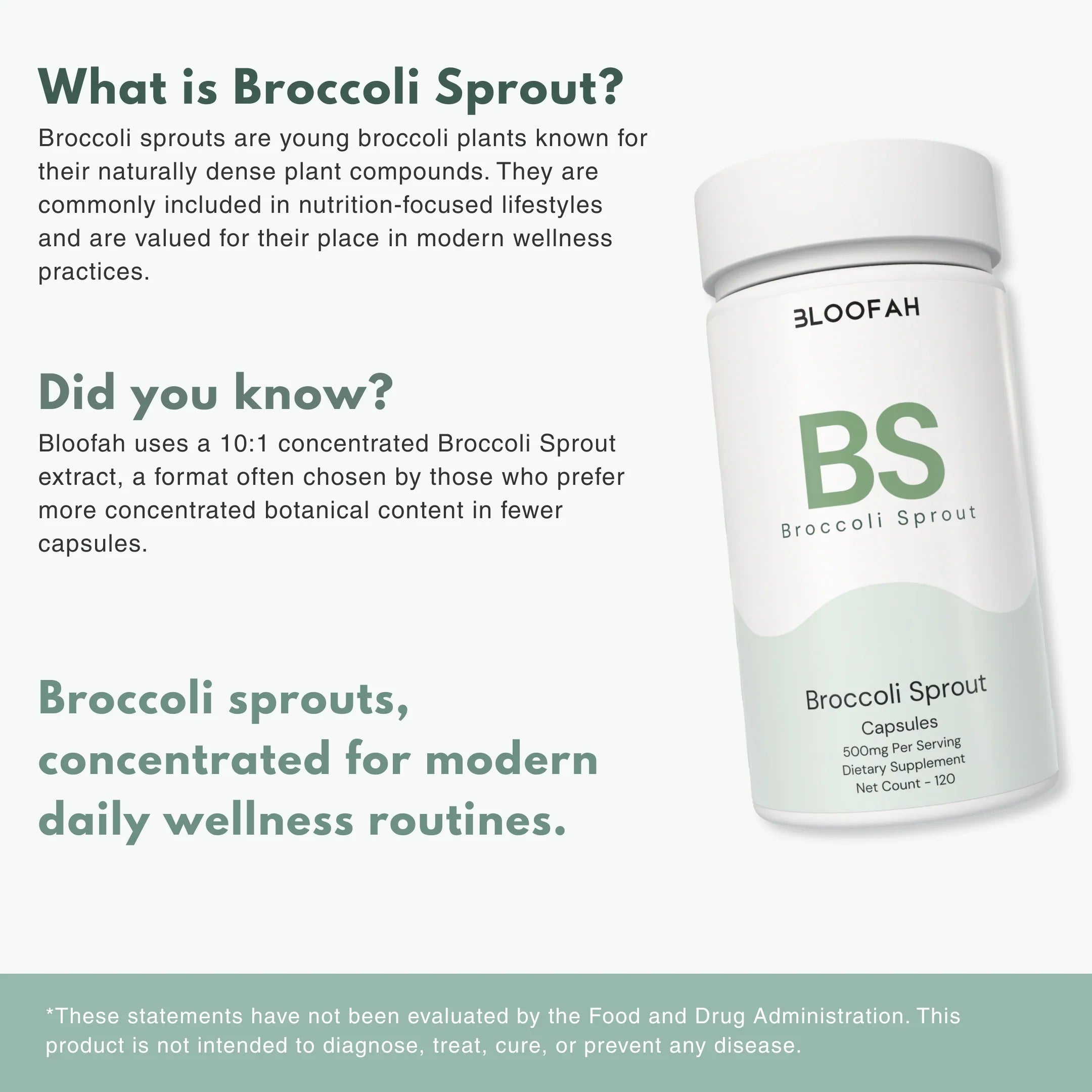 Bloofah BS Broccoli Sprout Capsules 500mg | Sulforaphane-Rich Brassica Extract | 120 Capsules