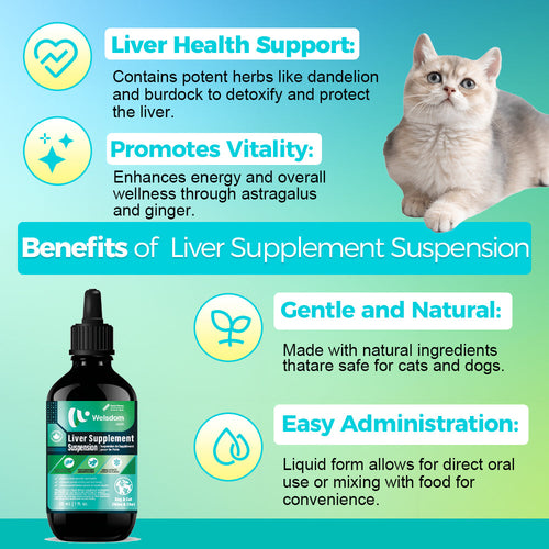 Liver Supplement Suspension - 30mL