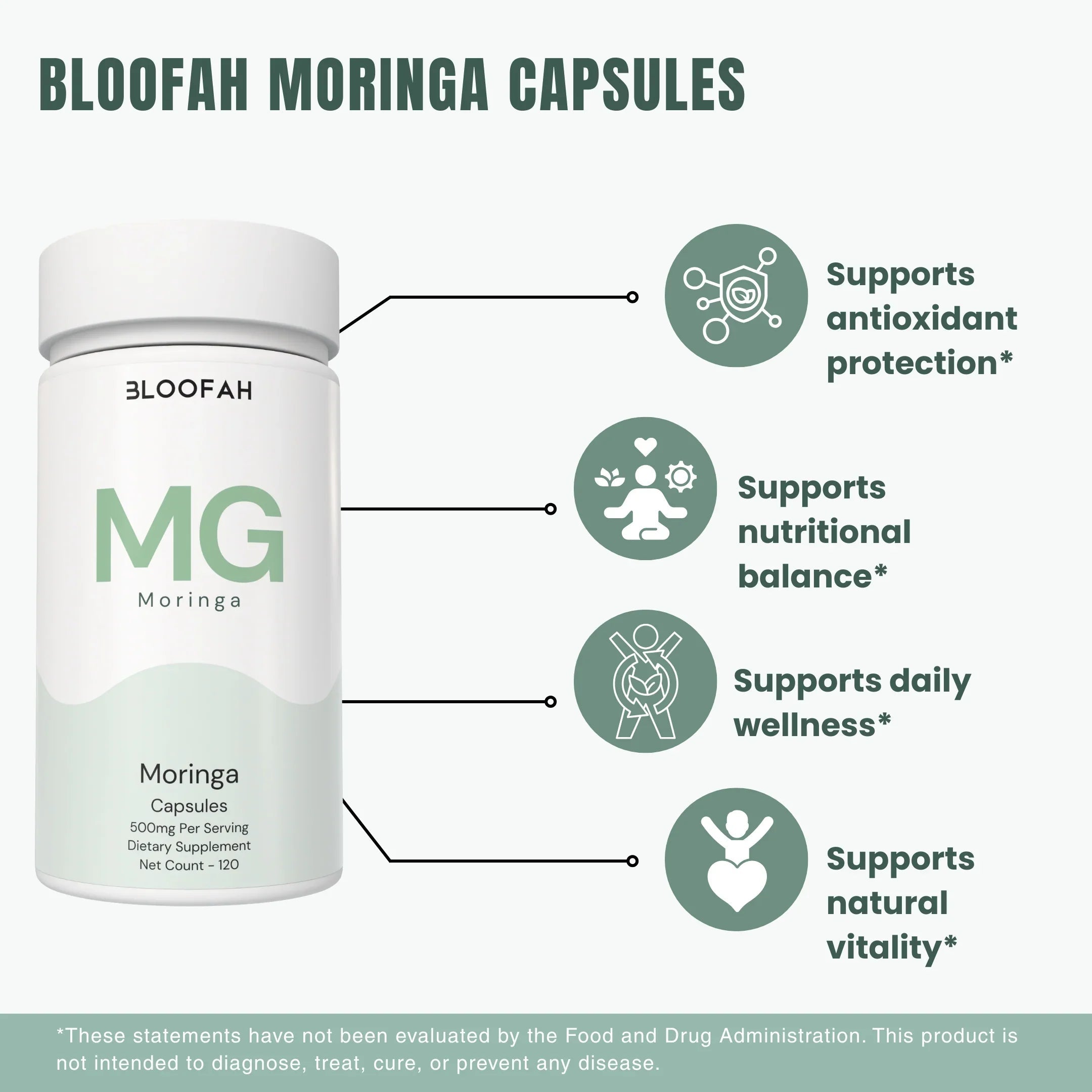 Bloofah MG Moringa Capsules 500mg | Moringa oleifera Leaf Extract | 120 Capsules