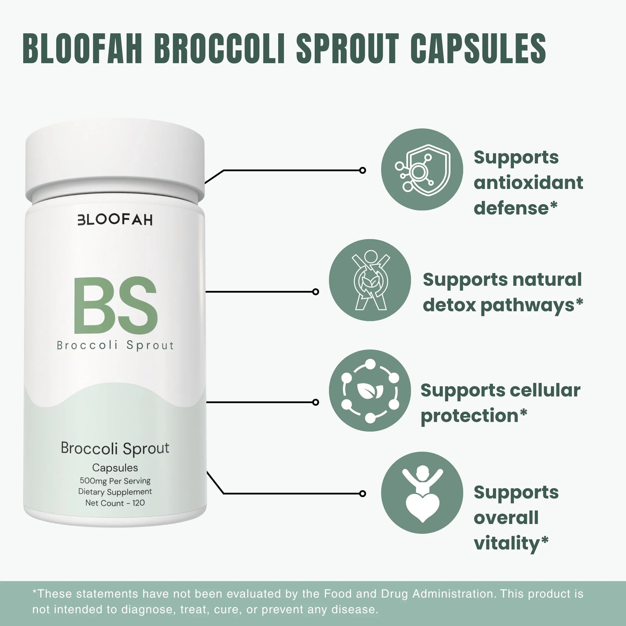 Bloofah BS Broccoli Sprout Capsules 500mg | Sulforaphane-Rich Brassica Extract | 120 Capsules