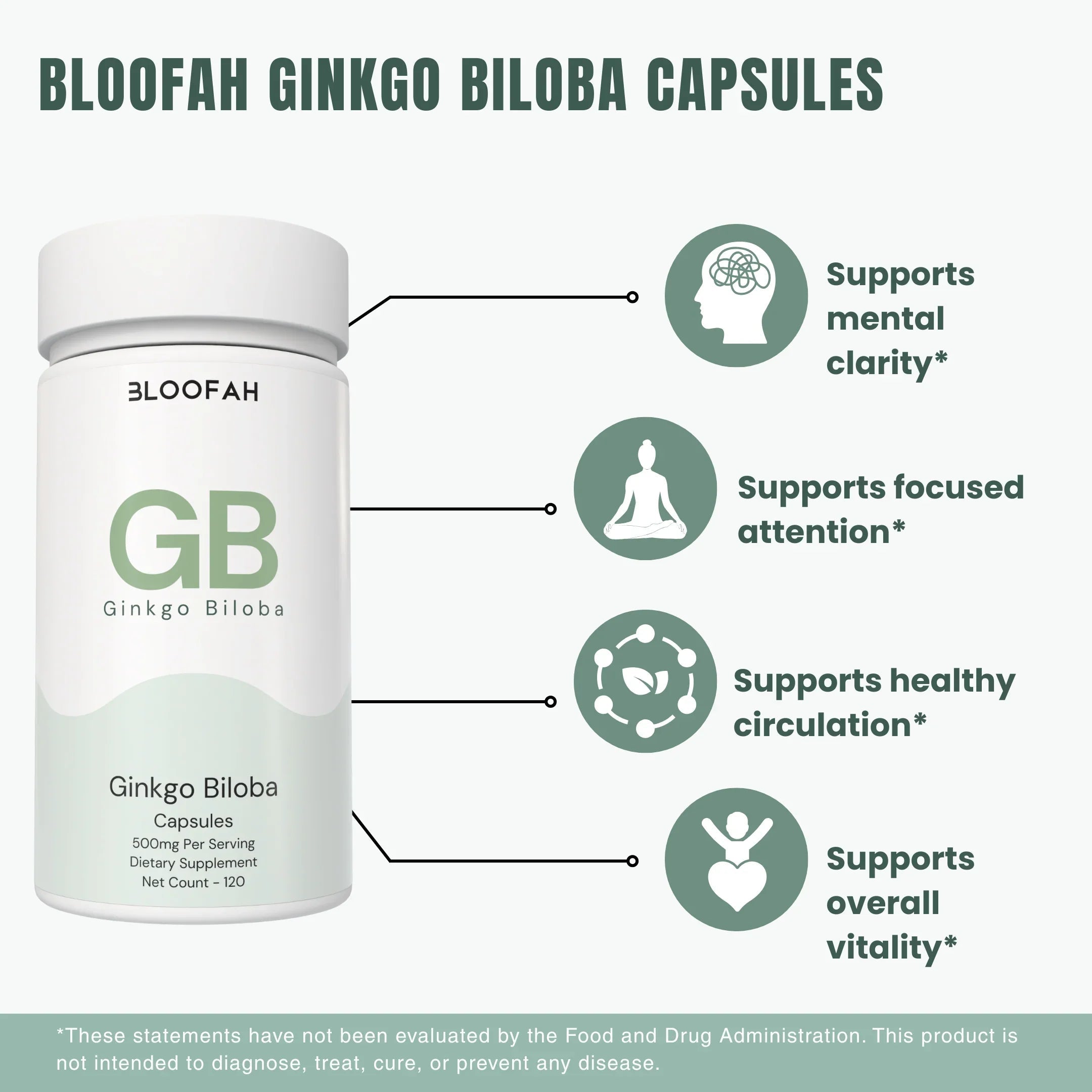 Bloofah GB Ginkgo Biloba Capsules 500mg | Ginkgo biloba Leaf Extract | 120 Capsules