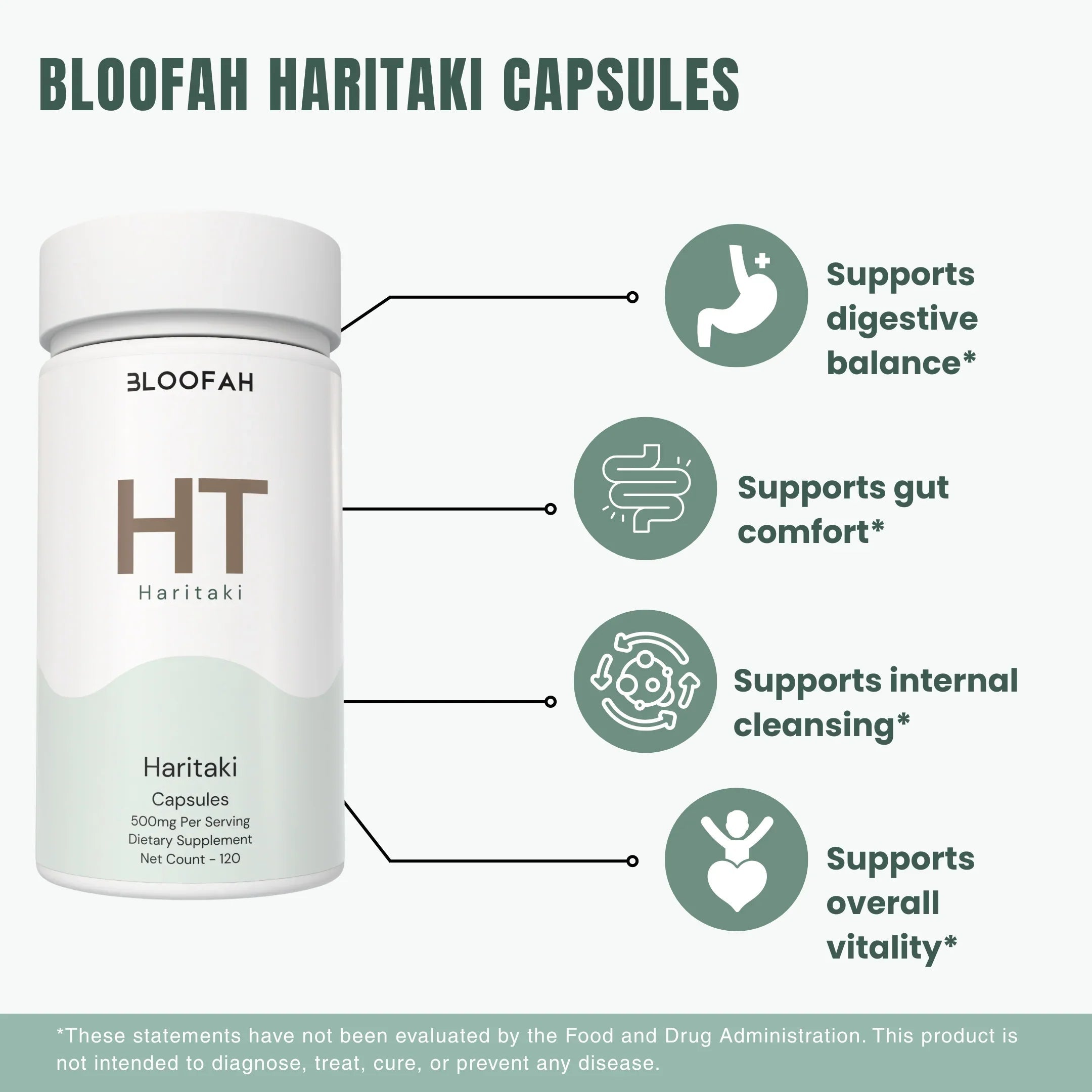 Bloofah HT Haritaki Capsules 500mg | Terminalia chebula Fruit Extract | 120 Capsules