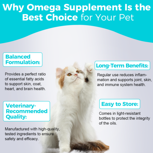 Omega Supplement Oil - 30mL