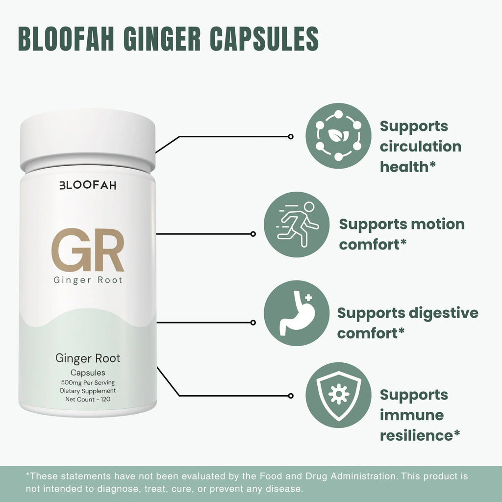 Bloofah GR Ginger Root Capsules 500mg | Zingiber officinale Extract | 120 Capsules