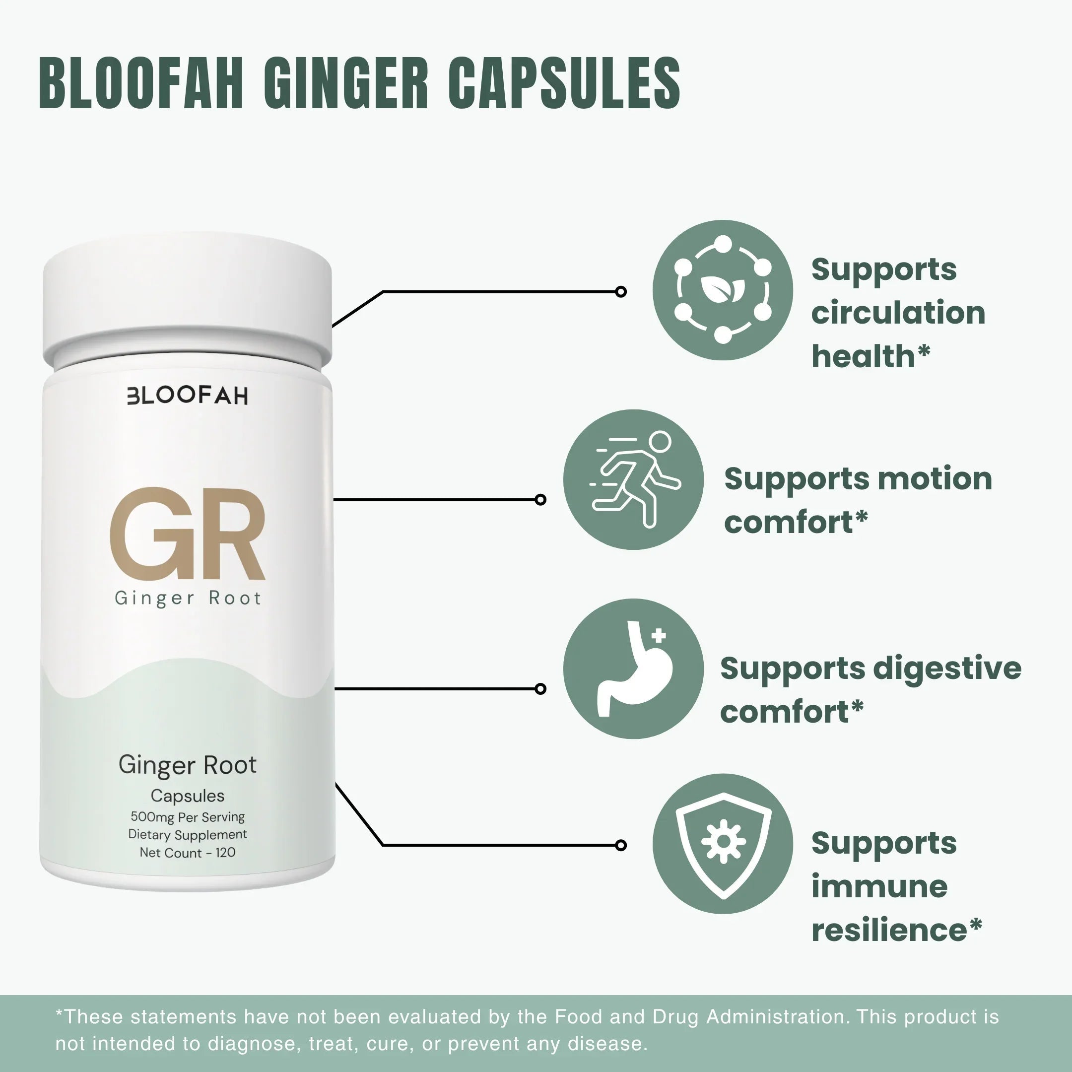 Bloofah GR Ginger Root Capsules 500mg | Zingiber officinale Extract | 120 Capsules