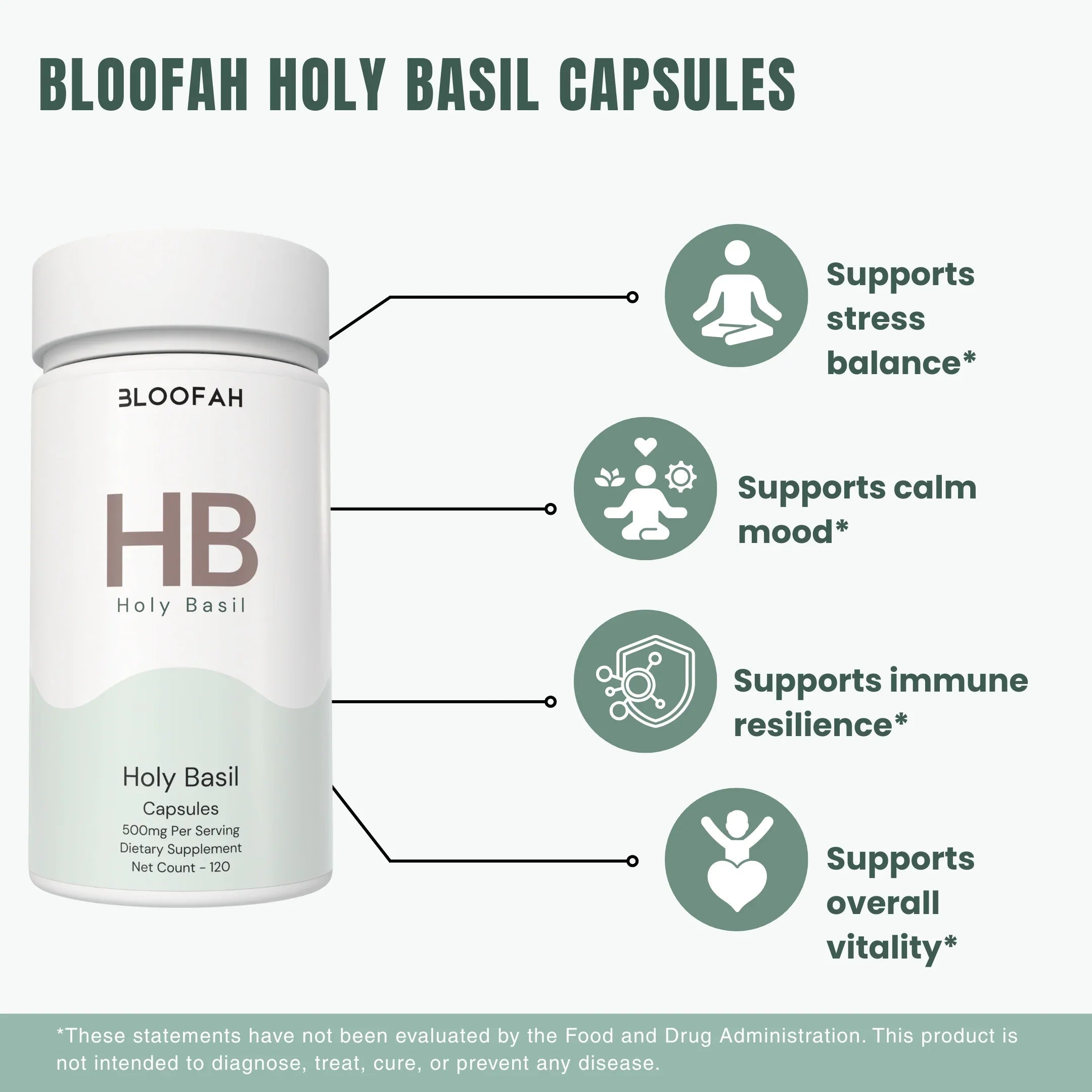 Bloofah HB Holy Basil Capsules 500mg | Ocimum tenuiflorum (Tulsi) Extract | 120 Capsules