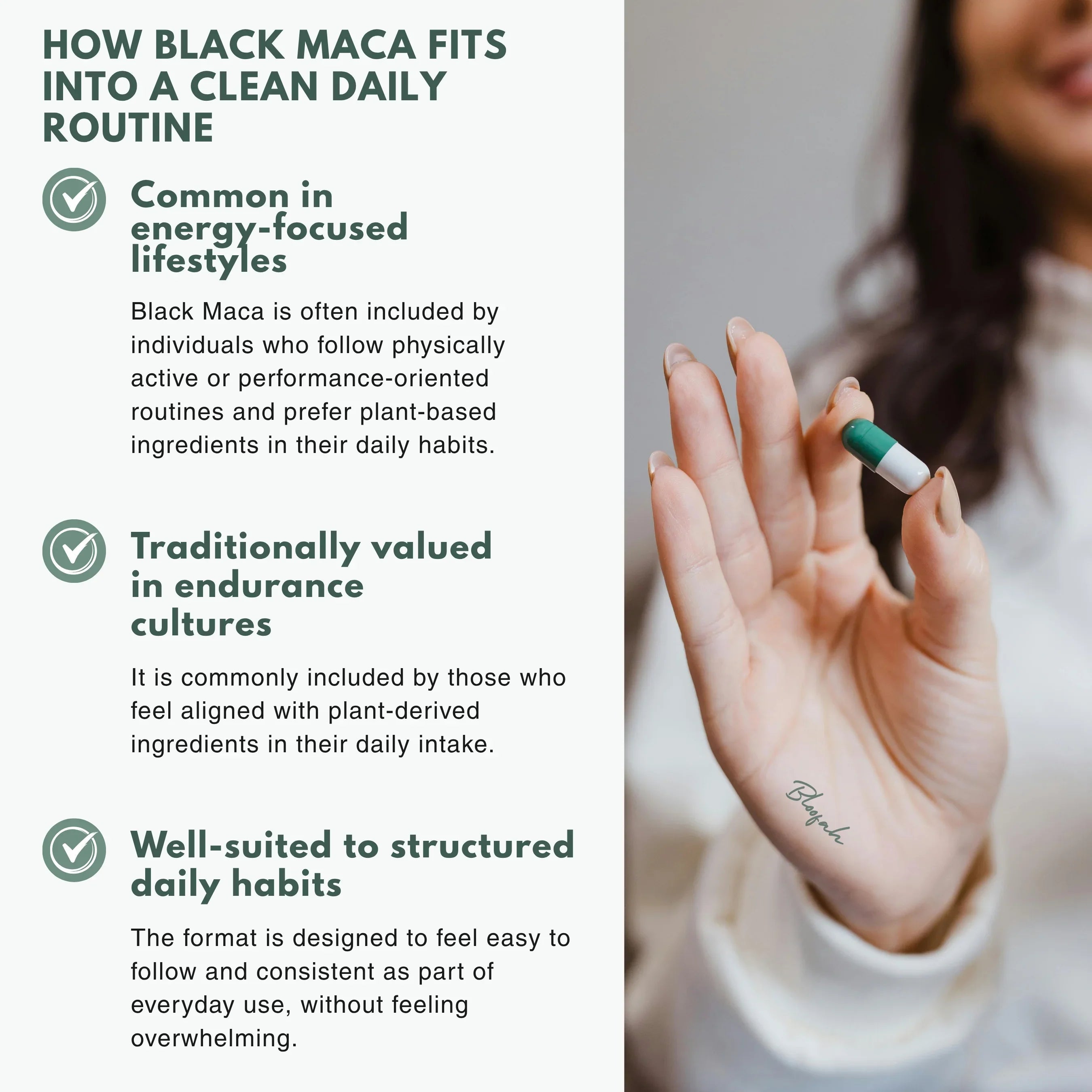 Bloofah BM Black Maca Capsules 500mg | Lepidium meyenii Root Extract | 120 Capsules