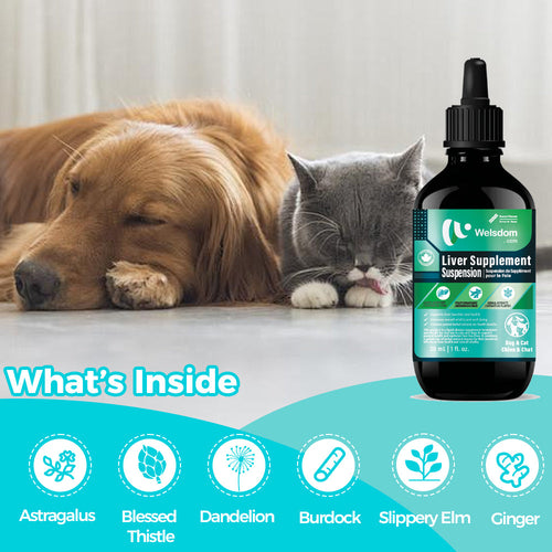 Liver Supplement Suspension - 30mL