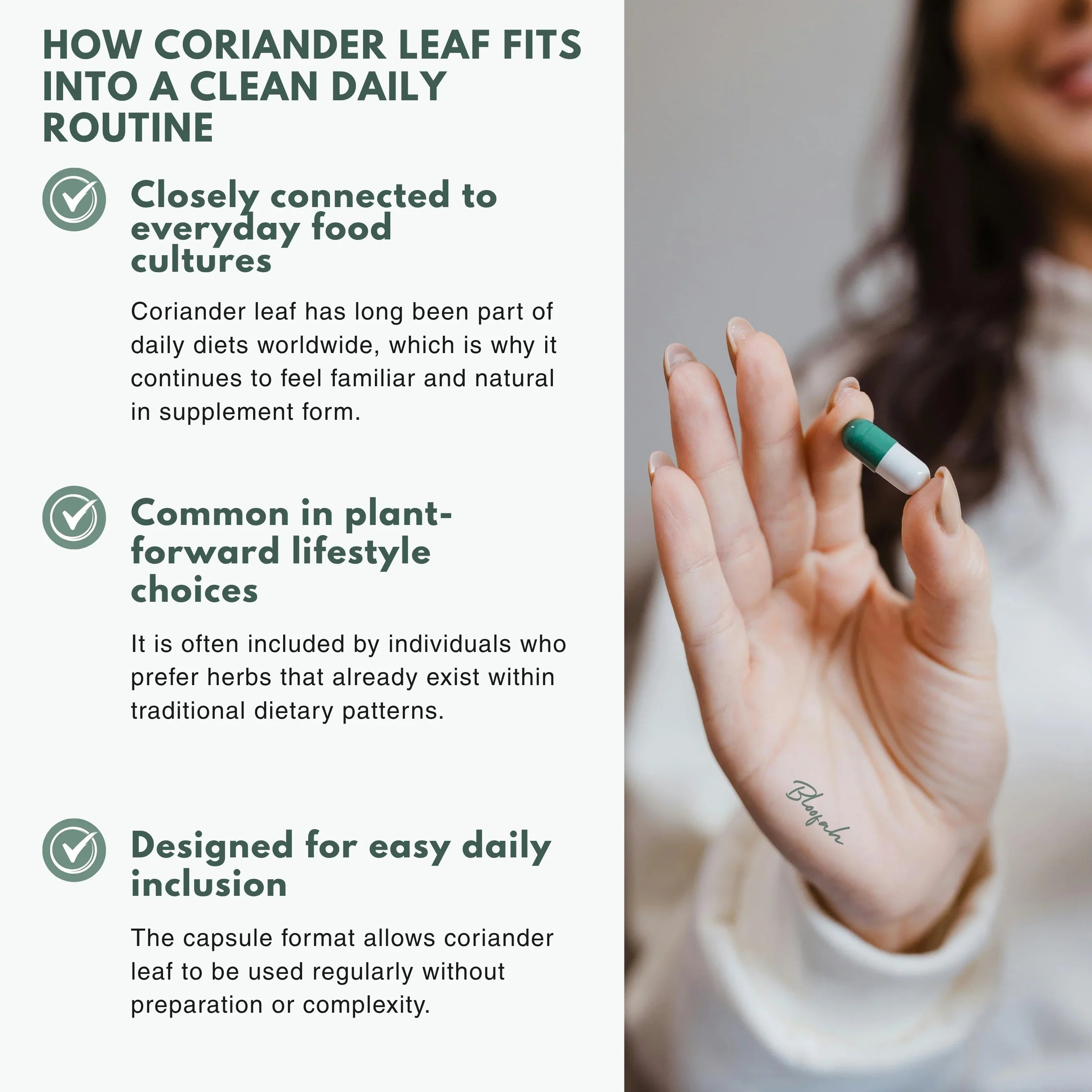Bloofah CL Coriander Capsules 500mg | Coriandrum sativum Leaf Extract | 120 Capsules