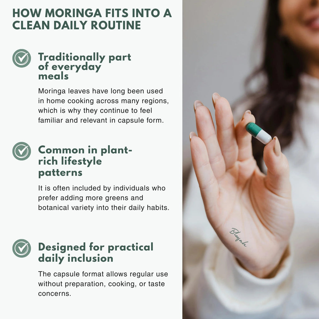 Bloofah MG Moringa Capsules 500mg | Moringa oleifera Leaf Extract | 120 Capsules