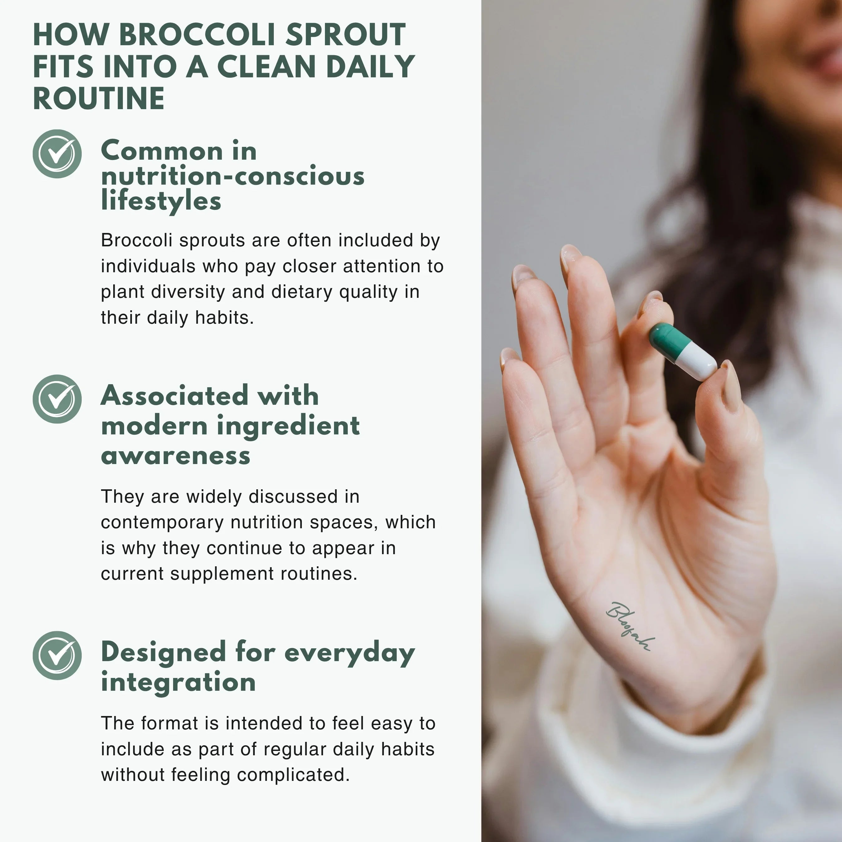 Bloofah BS Broccoli Sprout Capsules 500mg | Sulforaphane-Rich Brassica Extract | 120 Capsules