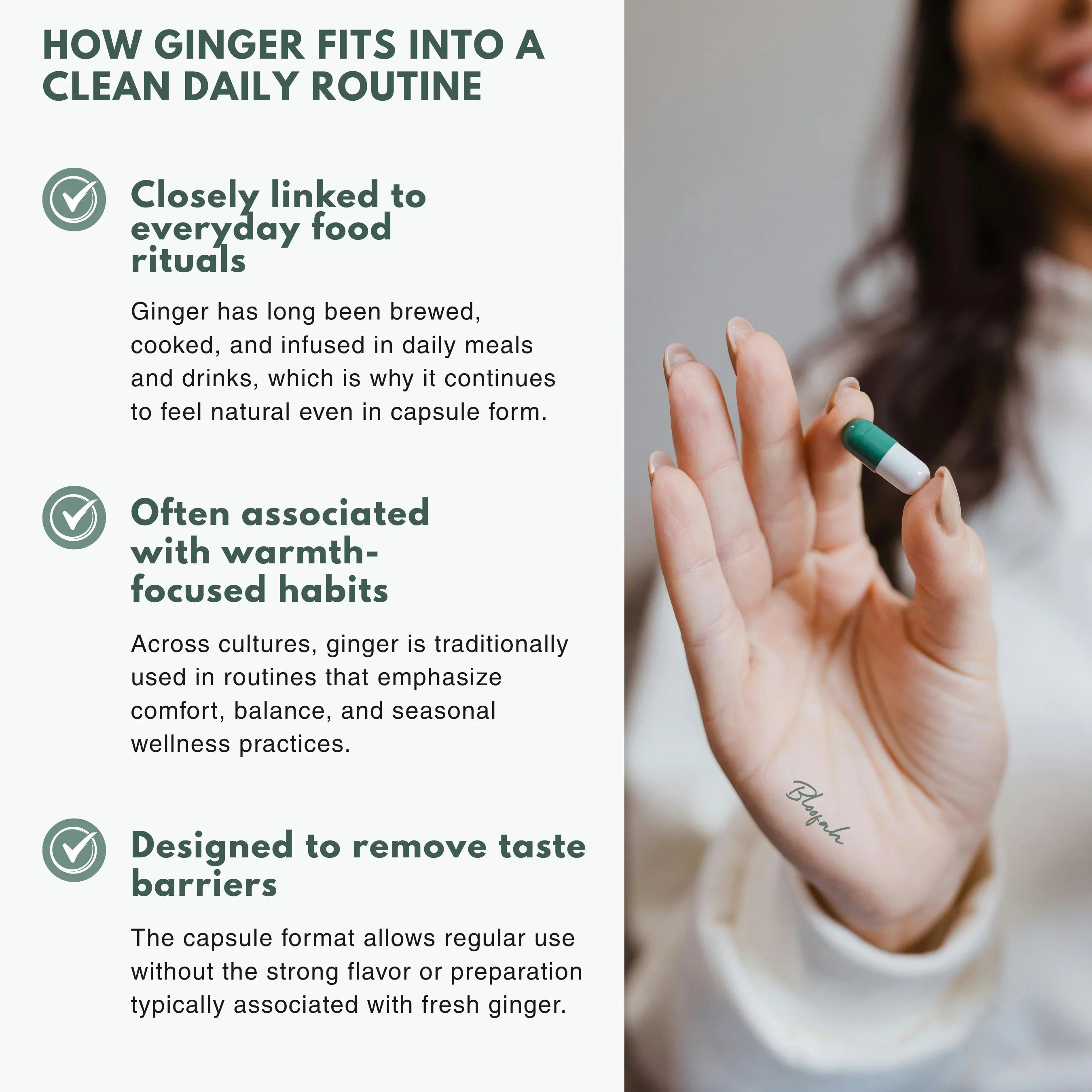 Bloofah GR Ginger Root Capsules 500mg | Zingiber officinale Extract | 120 Capsules