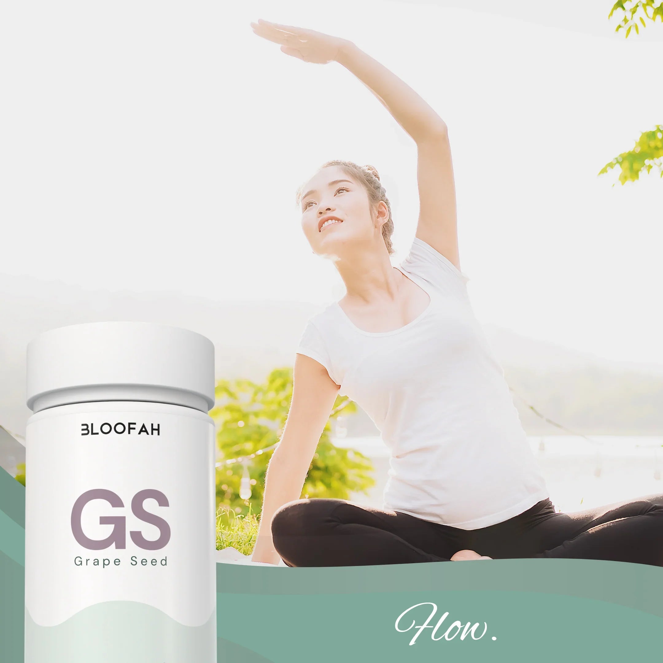 Bloofah GS Grape Seed Capsules 500mg | Vitis vinifera Extract | 120 Capsules