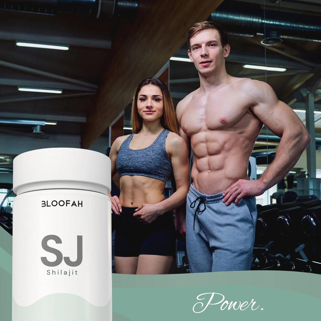 Bloofah SJ Shilajit Capsules 500mg | Himalayan Mineral Resin Extract | 120 Capsules