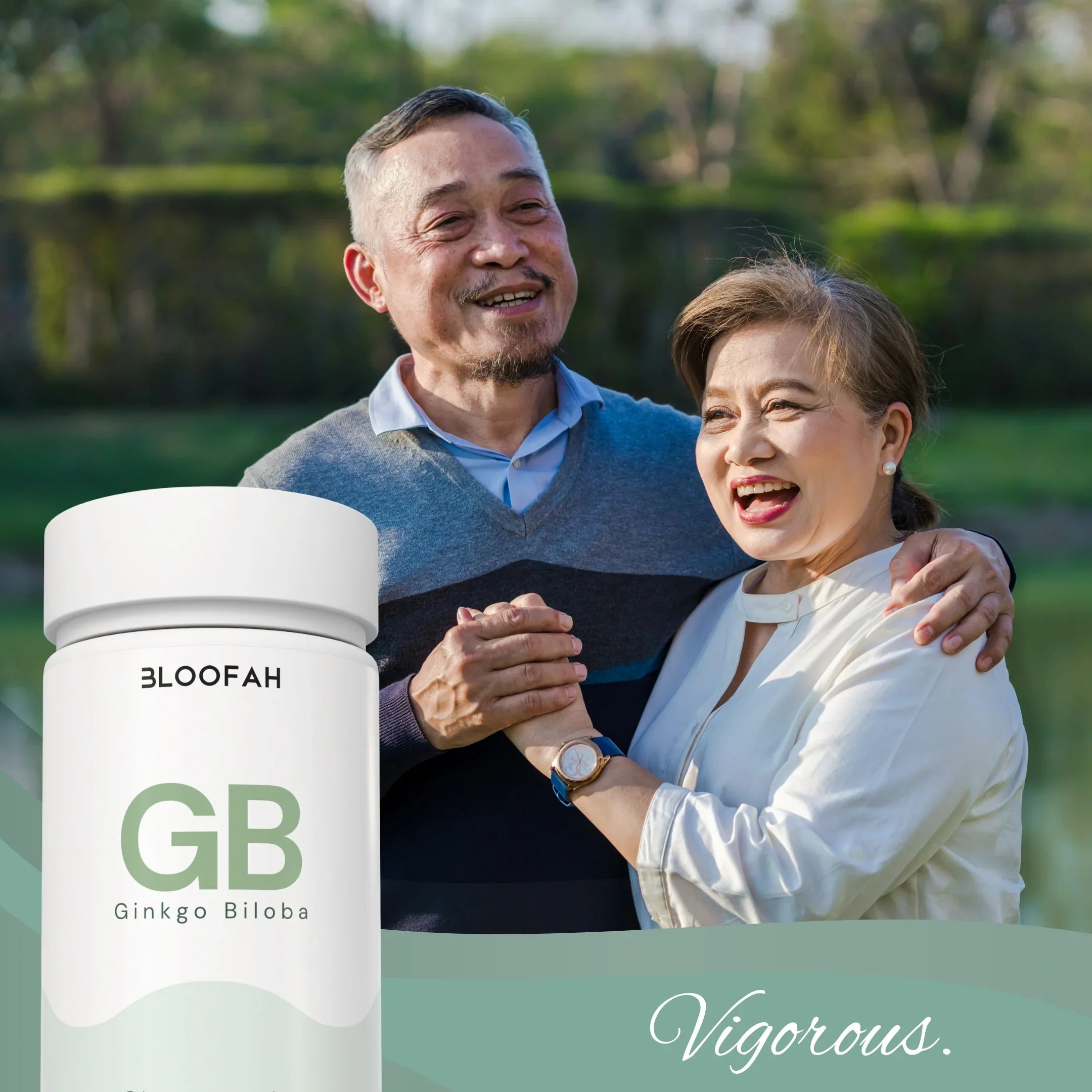 Bloofah GB Ginkgo Biloba Capsules 500mg | Ginkgo biloba Leaf Extract | 120 Capsules