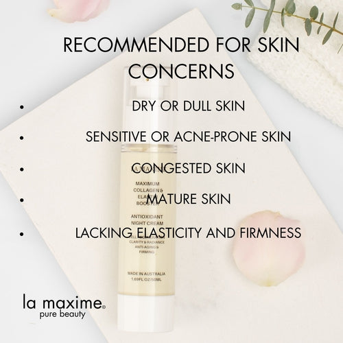 Maximum Collagen & Elastin Booster Antioxidant Night Cream