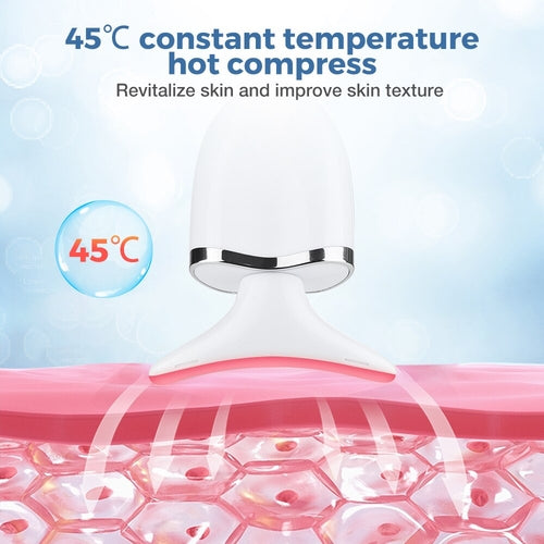 2 Roller Face Massager Neck Beauty Device EMS LED Photon Therapy Skin